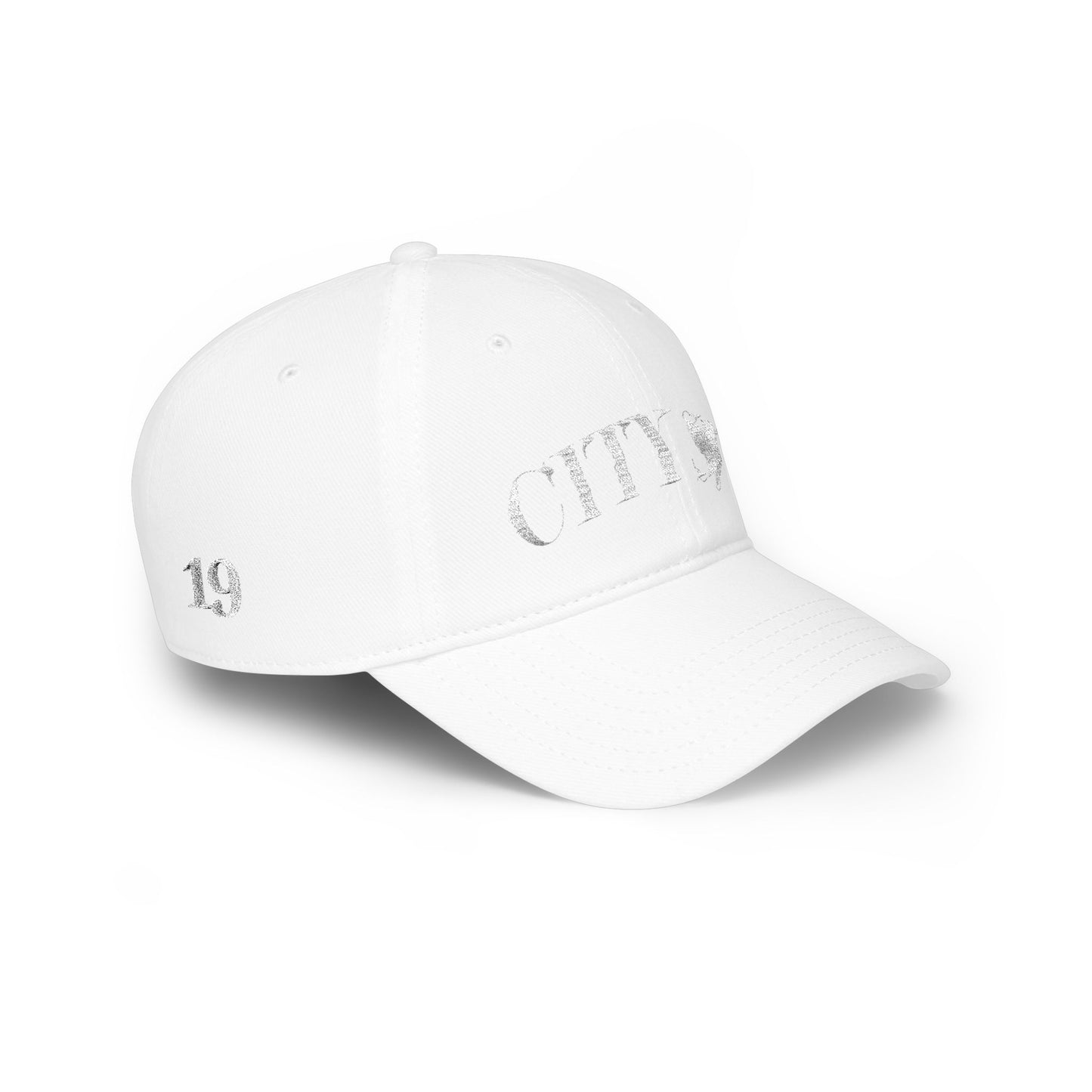 Low Profile Baseball Cap-19